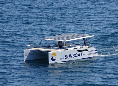 Benagil & Coastline on Eco-Friendly Catamaran