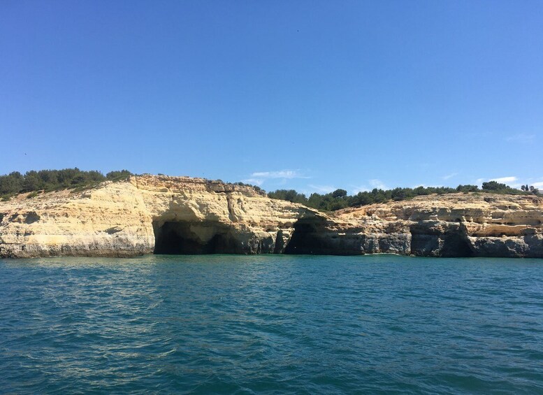 Picture 12 for Activity Portimão: Benagil Caves & Golden Coast Eco Catamaran Tour