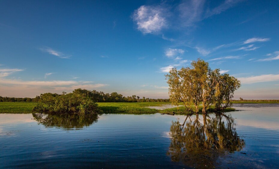 Picture 4 for Activity Darwin: Kakadu National Park Day Trip