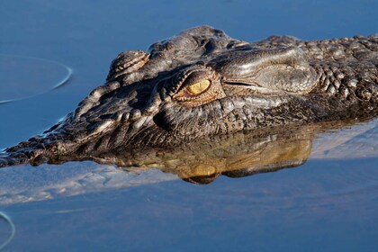 Darwin: Kakadu National Park Day Trip