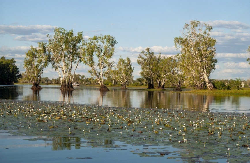 Darwin: Kakadu National Park Day Trip