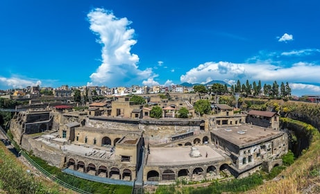 Desde Sorrento: Visita guiada al Vesubio y Pompeya