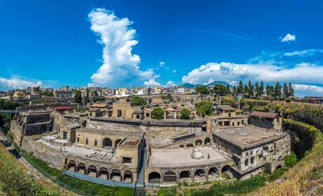 Da Sorrento: Pompei in treno con Vesuvio e tour guidato