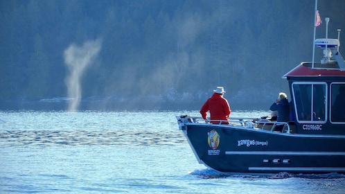 Campbell River: Salish Sea Whale Watching Abenteuer