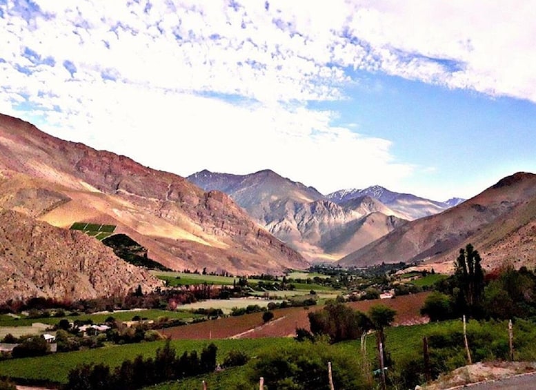 Picture 1 for Activity Pisco Elqui: Guided Day Trip with Artisan Village & Vineyard