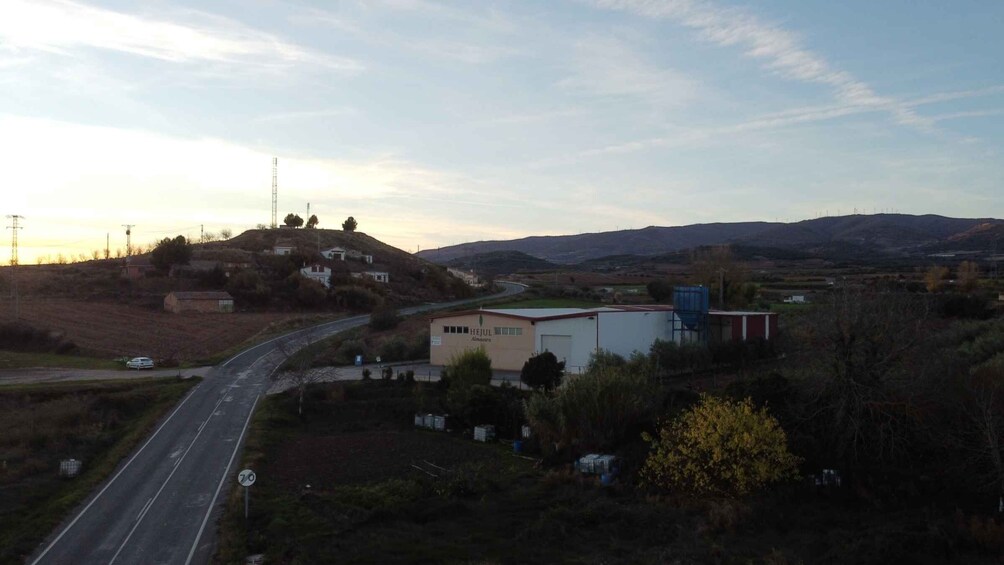 Picture 3 for Activity From La Rioja: Tour Olive Groves and Mill with Tasting