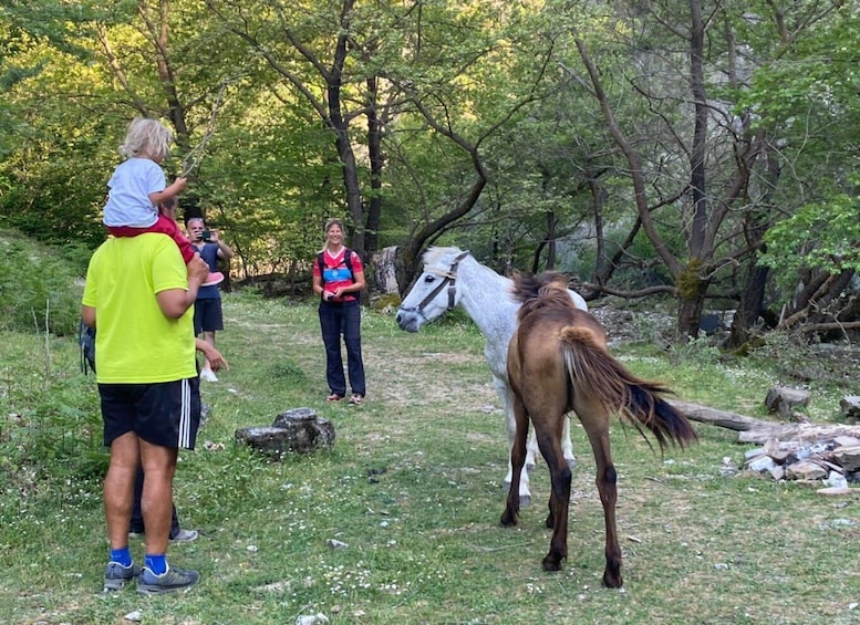 Picture 17 for Activity Berat: Guided Trip to Mount Tomorr and Bogove Waterfall