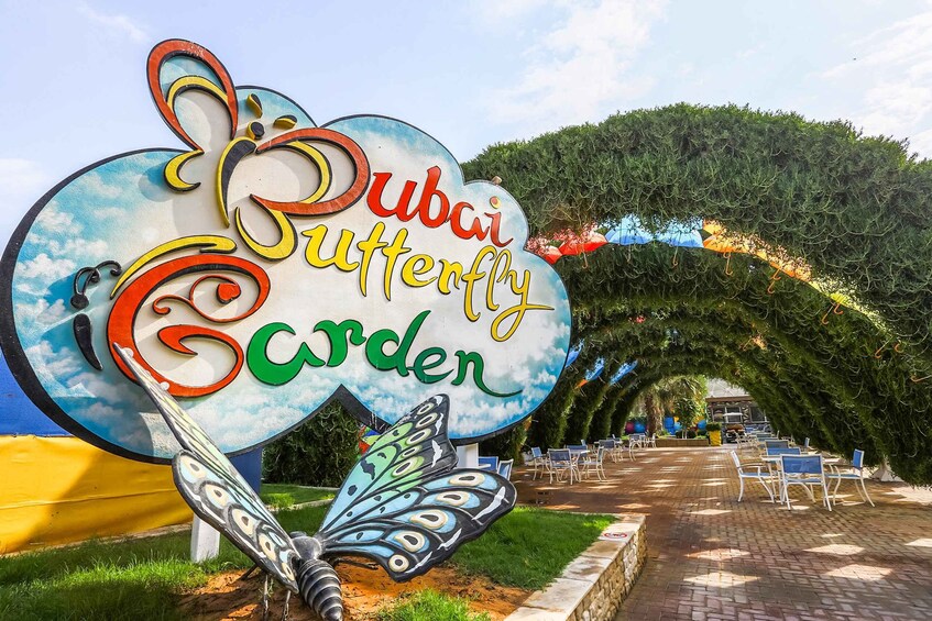 Picture 2 for Activity Dubai: Butterfly Garden Admission Ticket