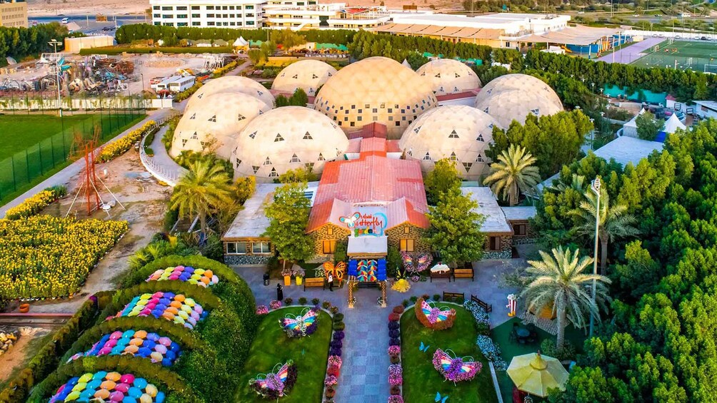 Dubai: Butterfly Garden Admission Ticket