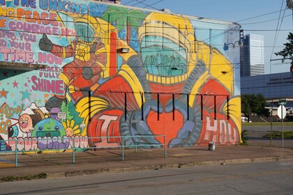 Houston: Sightseeing Tour