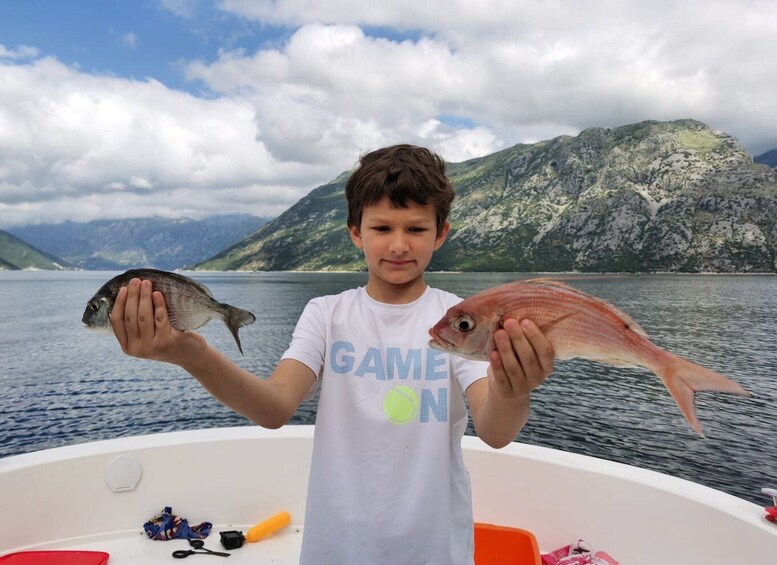Picture 4 for Activity From Bay of Kotor: Blue Cave Private Speedboat Tour