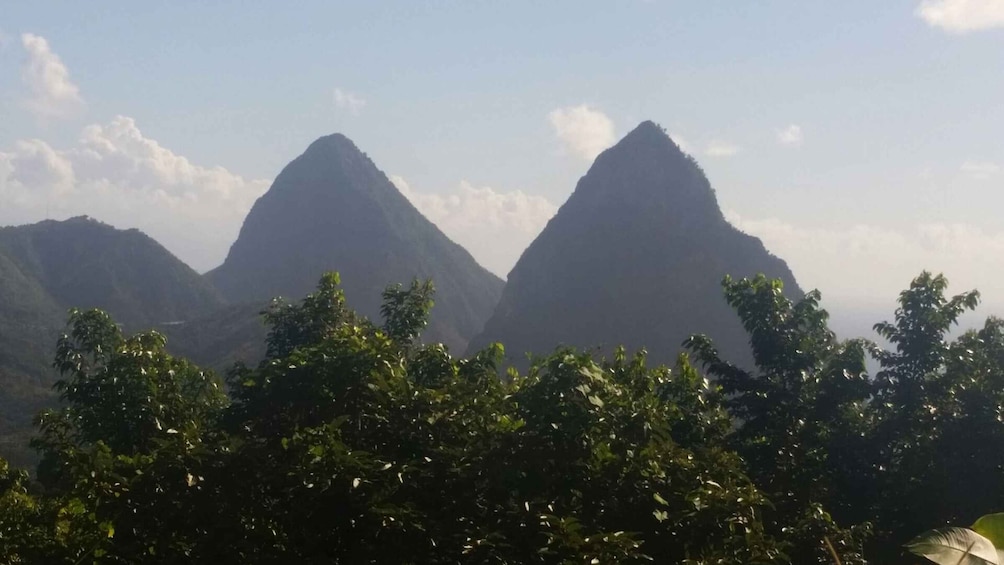 Picture 4 for Activity St Lucia: Gros Piton 4-Hour Guided Hike