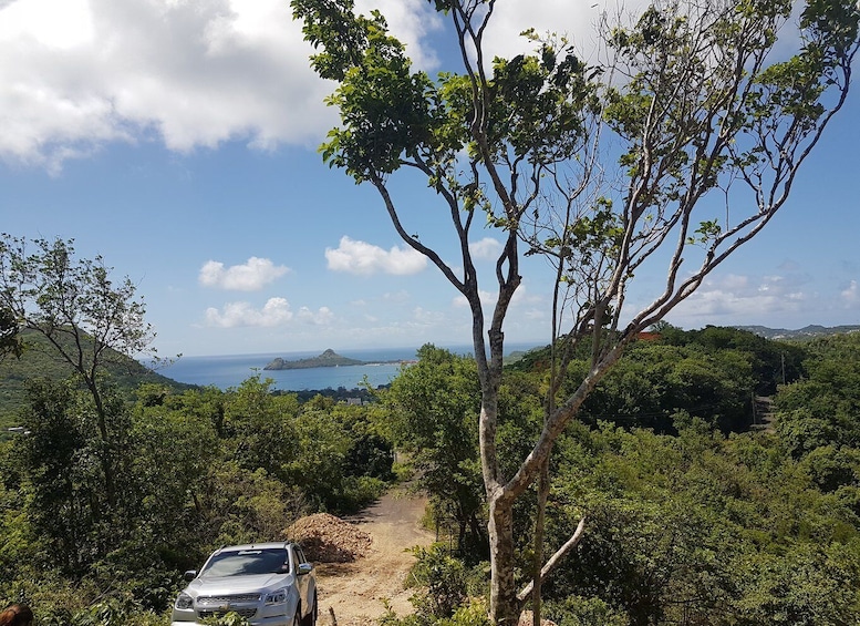 Picture 6 for Activity St Lucia: Gros Piton 4-Hour Guided Hike
