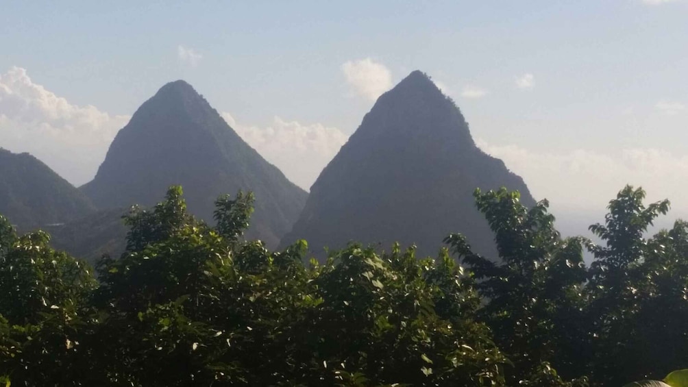 Picture 4 for Activity St Lucia: Gros Piton 4-Hour Guided Hike