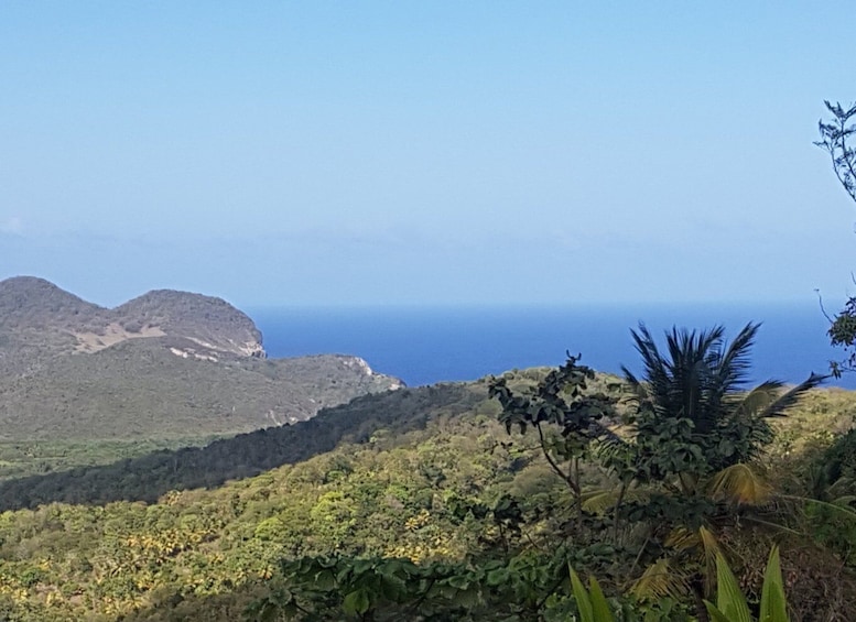 Picture 7 for Activity St Lucia: Gros Piton 4-Hour Guided Hike
