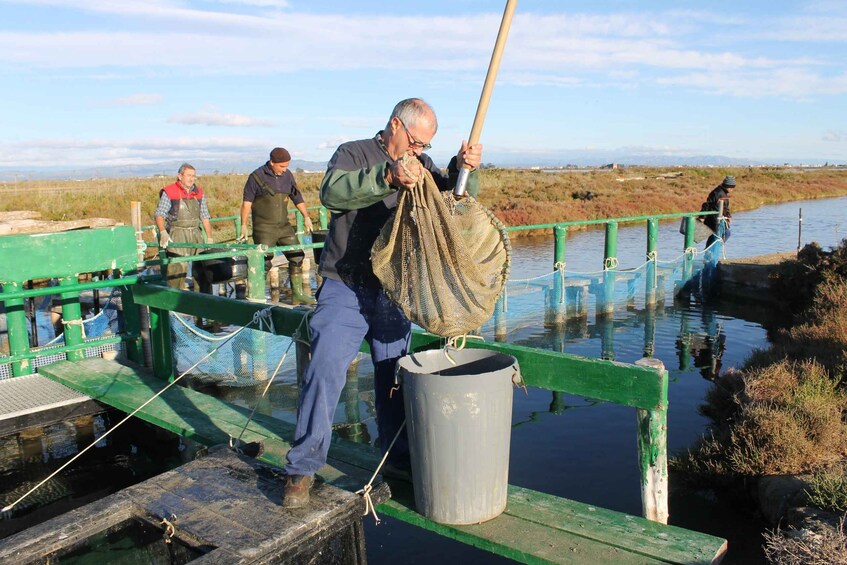 Picture 2 for Activity Ebro Delta: Northern Delta Guided Tour with a Local