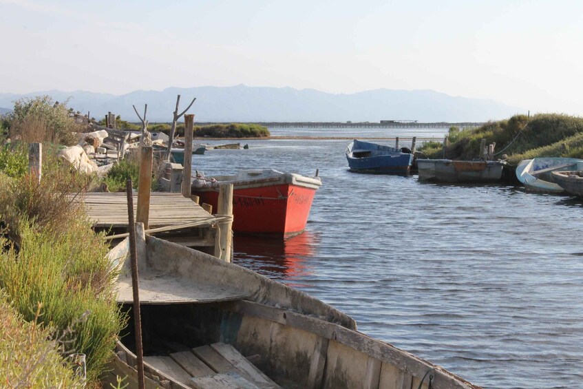 Picture 1 for Activity Ebro Delta: Northern Delta Guided Tour with a Local