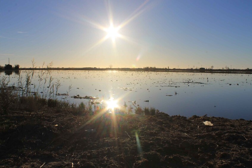 Picture 6 for Activity Ebro Delta: Northern Delta Guided Tour with a Local