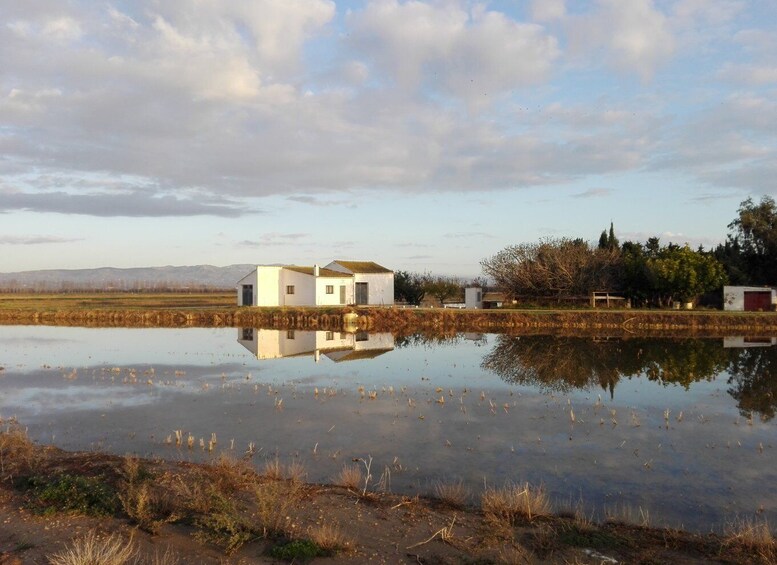 Ebro Delta: Northern Delta Guided Tour with a Local