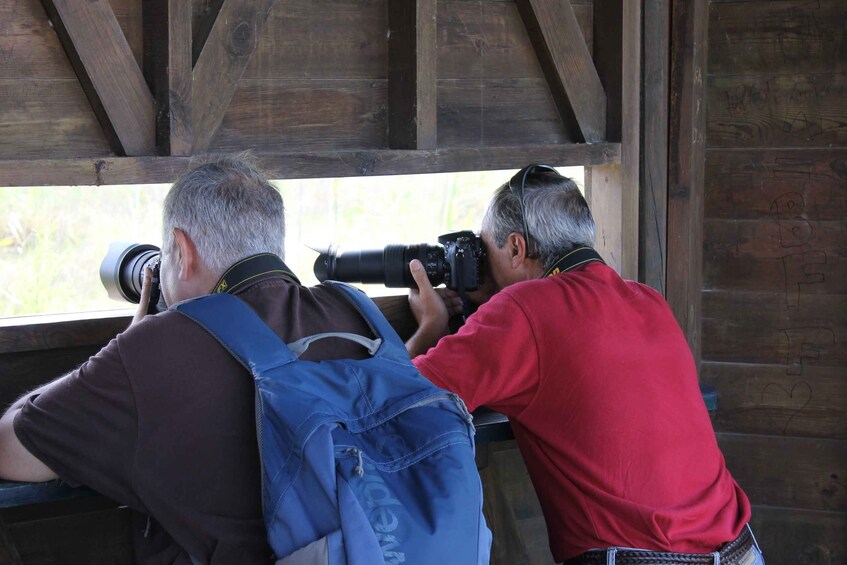 Picture 4 for Activity Ebro Delta: Northern Delta Guided Tour with a Local