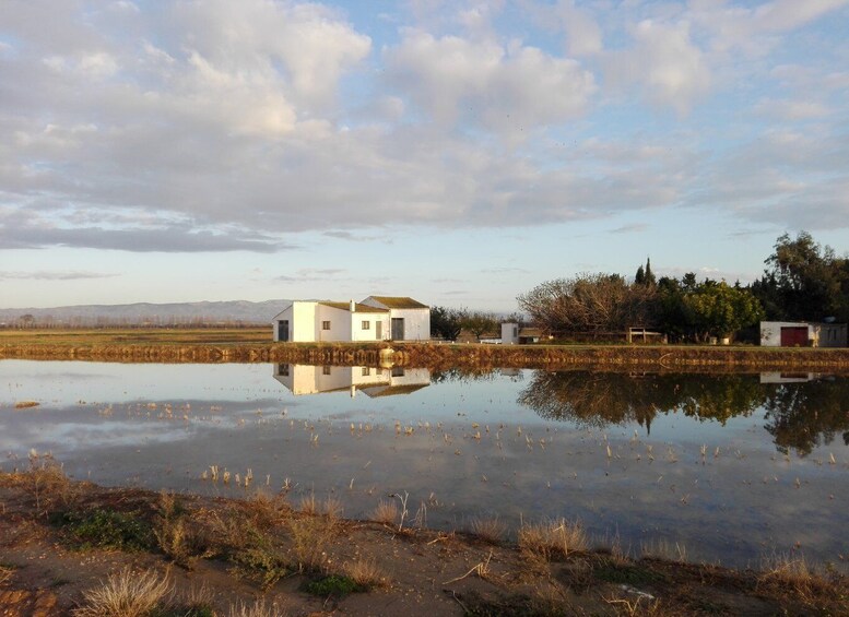 Ebro Delta: Northern Delta Guided Tour with a Local