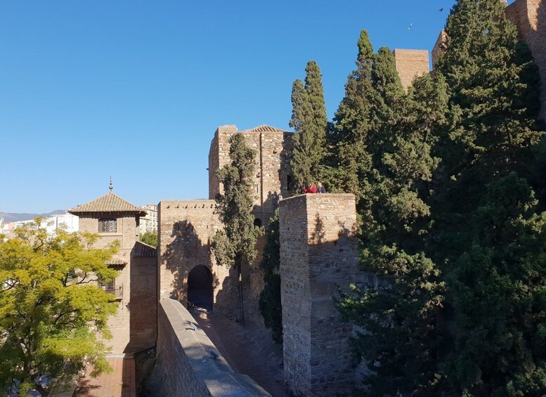 Picture 1 for Activity Málaga: Cathedral, Alcazaba, Roman Theater Walking Tour