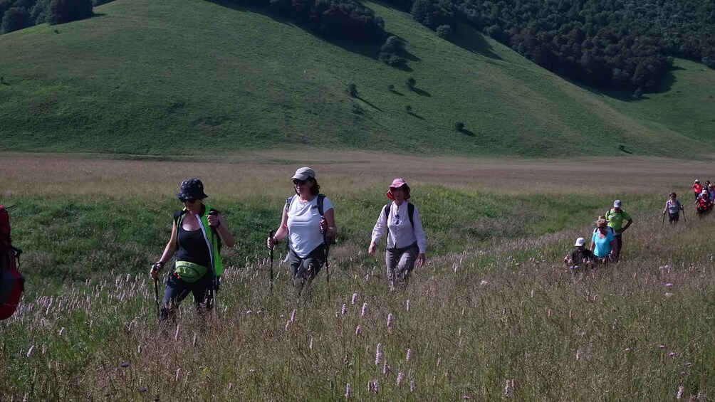 Picture 2 for Activity Norcia: Guided Hiking Tour in the Countryside