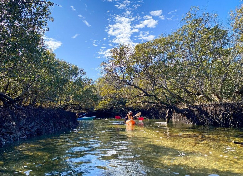 Picture 3 for Activity Adelaide: Dolphin Sanctuary 1 or 2-Person Kayak Rental