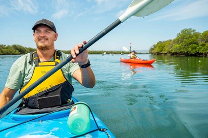 Adelaide: Dolphin Sanctuary 1 or 2-Person Kayak Rental