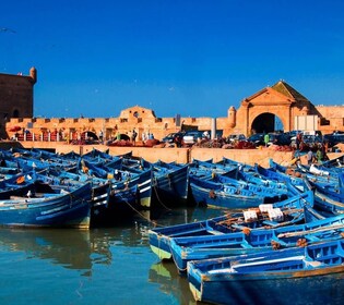 Agadir or Taghazout Essaouira old city day Trip with guide