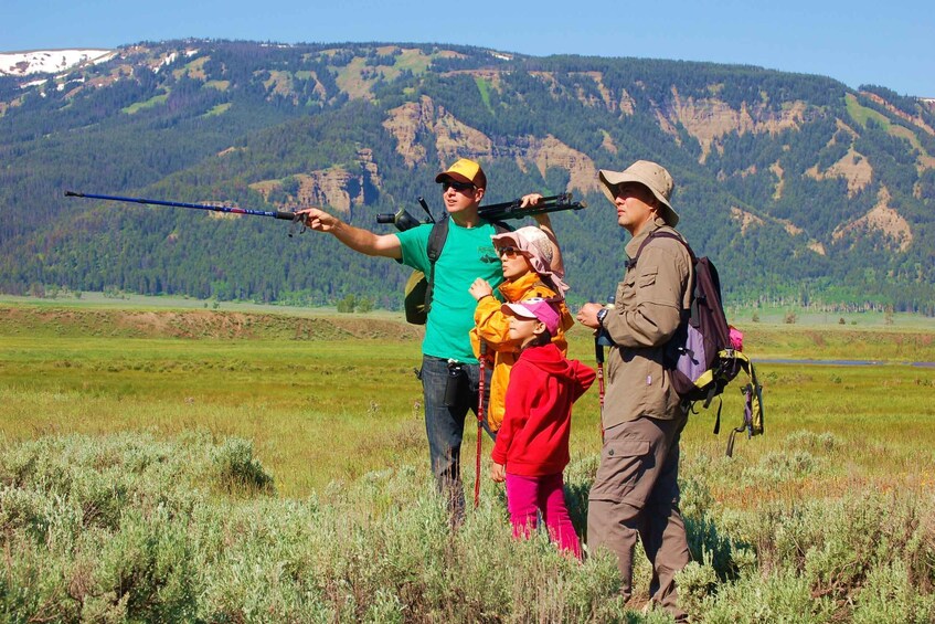 Lamar Valley: Safari Hiking Tour with Lunch