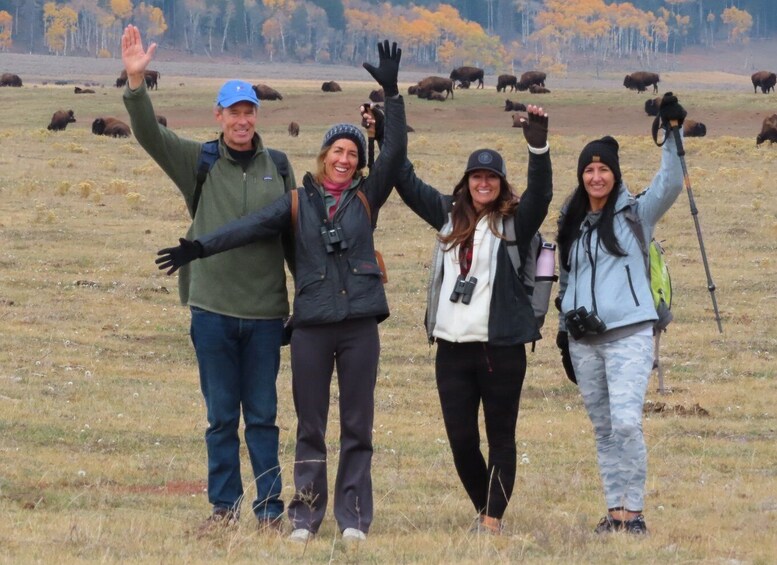 Picture 6 for Activity Lamar Valley: Safari Hiking Tour with Lunch