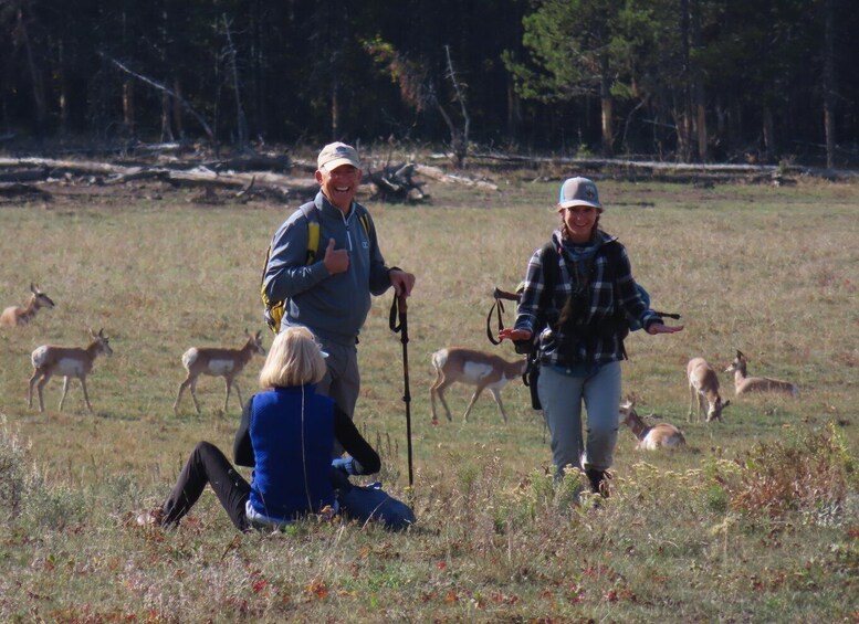 Picture 7 for Activity Lamar Valley: Safari Hiking Tour with Lunch