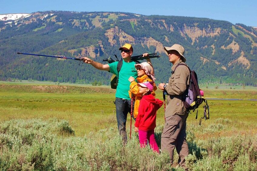 Lamar Valley: Safari Hiking Tour with Lunch