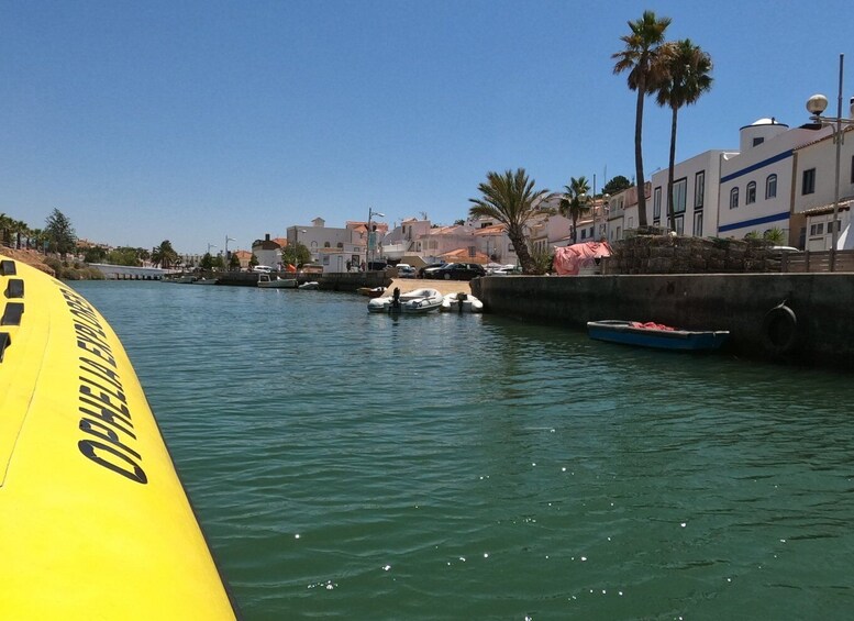 Picture 9 for Activity Algarve: Full-Day Boat and Jeep Tour