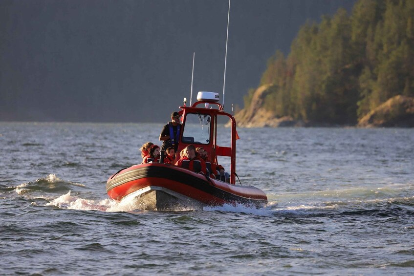 Picture 13 for Activity Campbell River: Whale & Wildlife Discovery Cruise