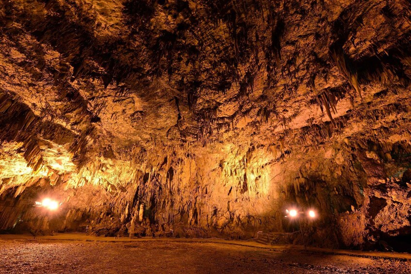 Picture 10 for Activity Kefalonia: Island Sightseeing Bus Tour with Hotel Transfer