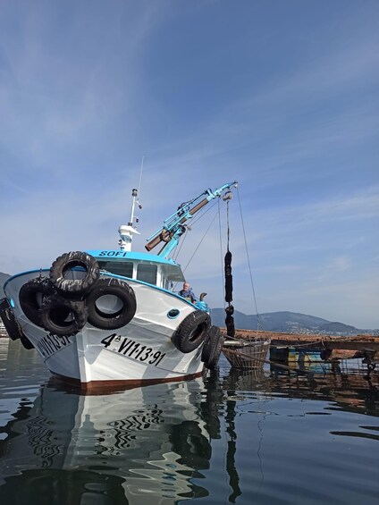 Picture 5 for Activity Vigo: Bay of San Simón Mussel Farming Tour