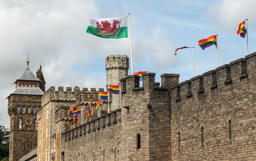 Picture 7 for Activity Cardiff: City Walking Tour with a Professional, Local Guide