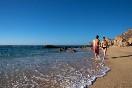 San Jose del Cabo: Stadsrundtur & besök på Palmilla Beach