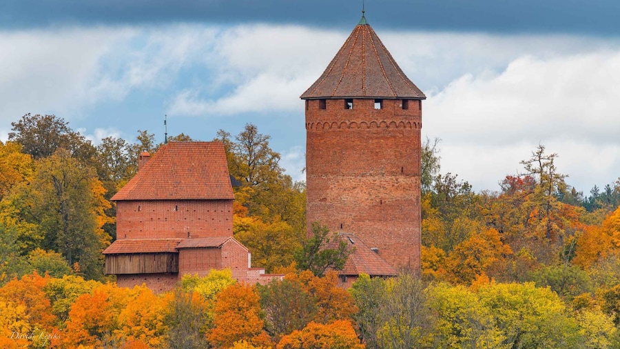 Riga: Private Sigulda, Turaida, and Gauja National Park Tour