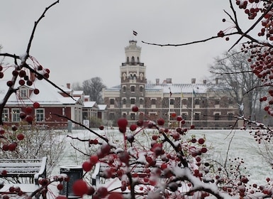 リガ：シグルダ、トゥライダ、ガウヤ国立公園プライベートツアー