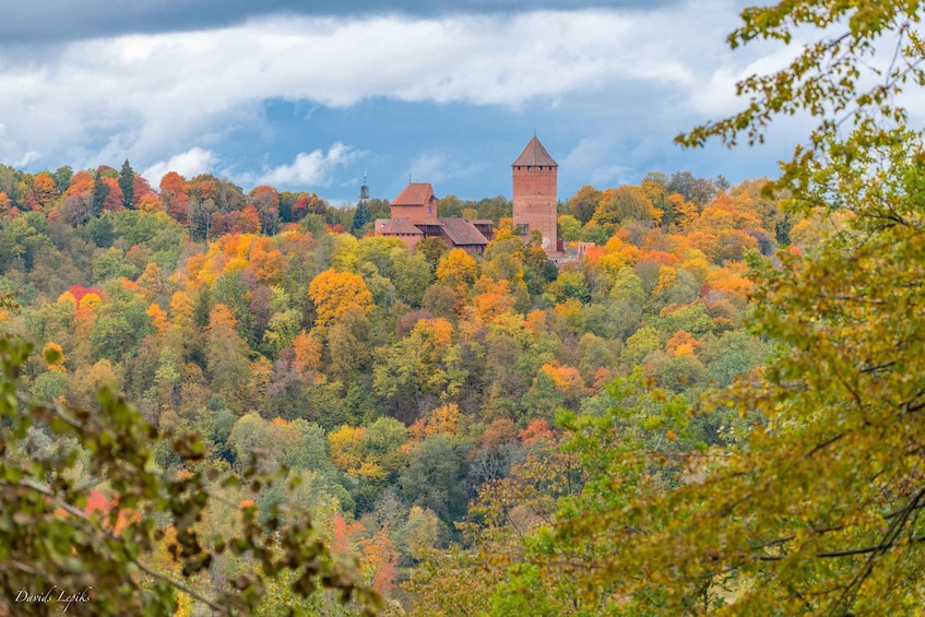 Picture 5 for Activity Riga: Private Sigulda, Turaida, and Gauja National Park Tour