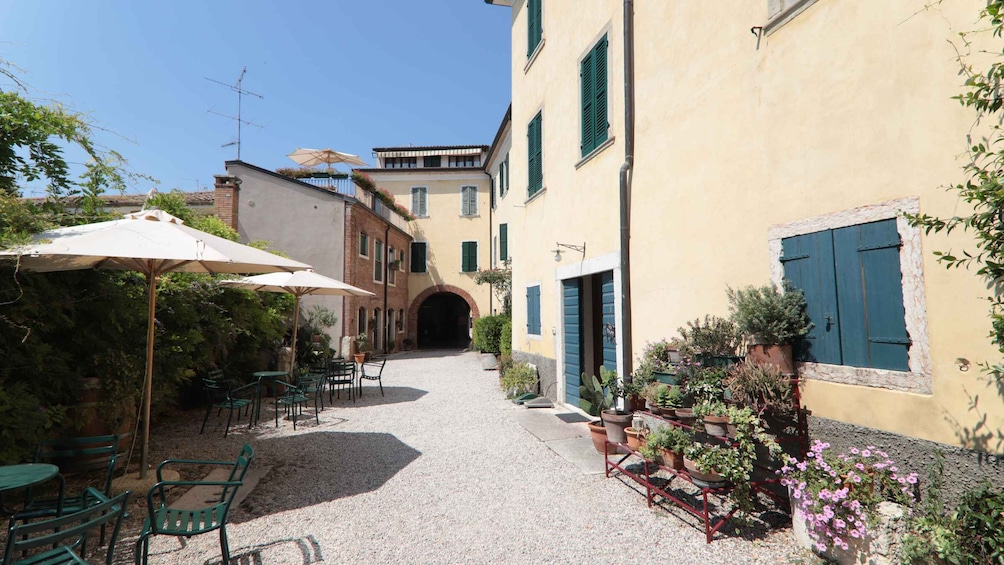 Picture 8 for Activity Lazise: Historical Center Wine Tasting Tour