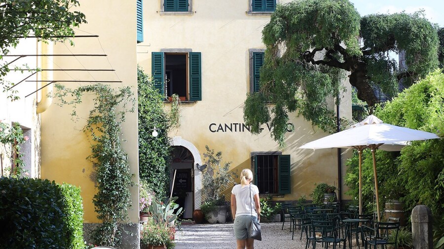 Lazise: Historical Center Wine Tasting Tour
