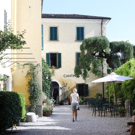 Lazise: Vinsmagningstur i det historiske centrum