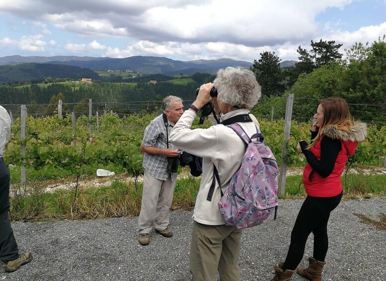 Picture 3 for Activity Bilbao: Organic Winery Visit with Tasting