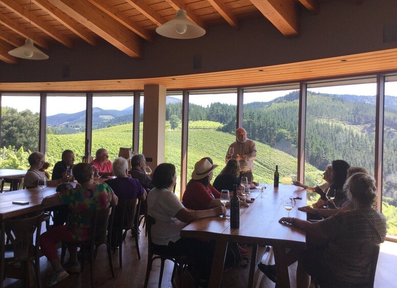 Picture 2 for Activity Bilbao: Organic Winery Visit with Tasting