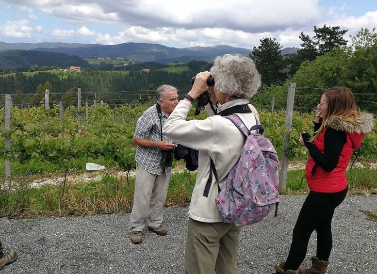 Picture 3 for Activity Bilbao: Organic Winery Visit with Tasting