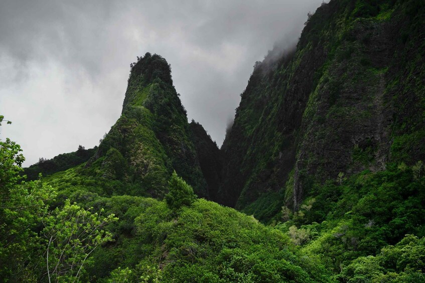 Picture 1 for Activity Maui: Private Luxury Half-Day Iao Valley & Upcountry Tour